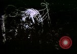 Image of World War 1 trench warfare. Rail Guns. Heavy artillery.  Europe, 1916, second 53 stock footage video 65675032131
