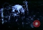 Image of American people United States USA, 1919, second 54 stock footage video 65675032135