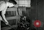 Image of 21 Club New York United States USA, 1930, second 52 stock footage video 65675032144