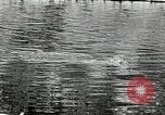 Immagine di La pesca Azusa California USA, 1930, secondo 27 filmato di repertorio 65675032151