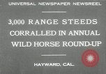 Immagine di Annuale cavallo selvatico round up Hayward California USA, 1930, secondo 1 filmato di repertorio 65675032154