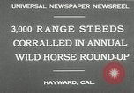 Immagine di Annuale cavallo selvatico round up Hayward California USA, 1930, secondo 3 filmato di repertorio 65675032154