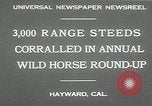 Immagine di Annuale cavallo selvatico round up Hayward California USA, 1930, secondo 4 filmato di repertorio 65675032154