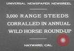 Immagine di Annuale cavallo selvatico round up Hayward California USA, 1930, secondo 5 filmato di repertorio 65675032154