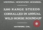 Immagine di Annuale cavallo selvatico round up Hayward California USA, 1930, secondo 6 filmato di repertorio 65675032154