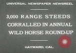 Immagine di Annuale cavallo selvatico round up Hayward California USA, 1930, secondo 7 filmato di repertorio 65675032154