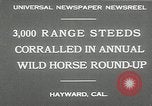 Immagine di Annuale cavallo selvatico round up Hayward California USA, 1930, secondo 8 filmato di repertorio 65675032154