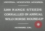 Immagine di Annuale cavallo selvatico round up Hayward California USA, 1930, secondo 9 filmato di repertorio 65675032154
