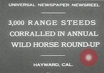 Immagine di Annuale cavallo selvatico round up Hayward California USA, 1930, secondo 10 filmato di repertorio 65675032154