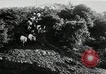 Immagine di Annuale cavallo selvatico round up Hayward California USA, 1930, secondo 11 filmato di repertorio 65675032154