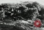 Immagine di Annuale cavallo selvatico round up Hayward California USA, 1930, secondo 13 filmato di repertorio 65675032154