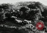 Immagine di Annuale cavallo selvatico round up Hayward California USA, 1930, secondo 16 filmato di repertorio 65675032154