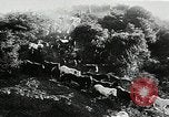 Immagine di Annuale cavallo selvatico round up Hayward California USA, 1930, secondo 17 filmato di repertorio 65675032154