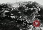 Immagine di Annuale cavallo selvatico round up Hayward California USA, 1930, secondo 19 filmato di repertorio 65675032154