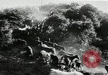 Immagine di Annuale cavallo selvatico round up Hayward California USA, 1930, secondo 20 filmato di repertorio 65675032154