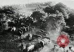 Immagine di Annuale cavallo selvatico round up Hayward California USA, 1930, secondo 21 filmato di repertorio 65675032154