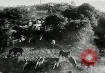 Immagine di Annuale cavallo selvatico round up Hayward California USA, 1930, secondo 23 filmato di repertorio 65675032154