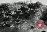 Immagine di Annuale cavallo selvatico round up Hayward California USA, 1930, secondo 24 filmato di repertorio 65675032154