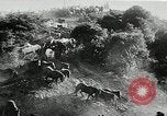 Immagine di Annuale cavallo selvatico round up Hayward California USA, 1930, secondo 25 filmato di repertorio 65675032154
