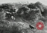 Immagine di Annuale cavallo selvatico round up Hayward California USA, 1930, secondo 29 filmato di repertorio 65675032154