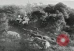 Immagine di Annuale cavallo selvatico round up Hayward California USA, 1930, secondo 31 filmato di repertorio 65675032154
