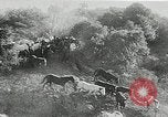 Immagine di Annuale cavallo selvatico round up Hayward California USA, 1930, secondo 33 filmato di repertorio 65675032154