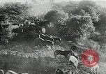 Immagine di Annuale cavallo selvatico round up Hayward California USA, 1930, secondo 34 filmato di repertorio 65675032154