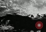 Immagine di Annuale cavallo selvatico round up Hayward California USA, 1930, secondo 41 filmato di repertorio 65675032154