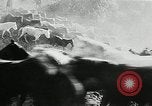 Immagine di Annuale cavallo selvatico round up Hayward California USA, 1930, secondo 44 filmato di repertorio 65675032154