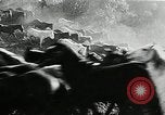 Immagine di Annuale cavallo selvatico round up Hayward California USA, 1930, secondo 45 filmato di repertorio 65675032154
