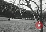 Immagine di Annuale cavallo selvatico round up Hayward California USA, 1930, secondo 51 filmato di repertorio 65675032154