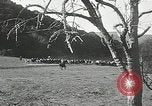 Immagine di Annuale cavallo selvatico round up Hayward California USA, 1930, secondo 52 filmato di repertorio 65675032154