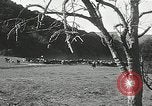 Immagine di Annuale cavallo selvatico round up Hayward California USA, 1930, secondo 54 filmato di repertorio 65675032154