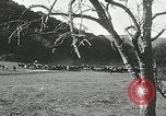 Immagine di Annuale cavallo selvatico round up Hayward California USA, 1930, secondo 55 filmato di repertorio 65675032154