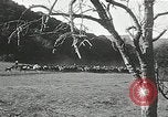 Immagine di Annuale cavallo selvatico round up Hayward California USA, 1930, secondo 57 filmato di repertorio 65675032154