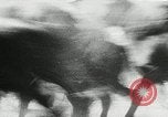 Immagine di Annuale cavallo selvatico round up Hayward California USA, 1930, secondo 60 filmato di repertorio 65675032154