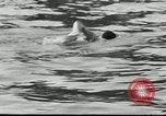 Image of marathon swim New York City USA, 1930, second 60 stock footage video 65675032155