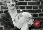 Immagine di Ragazza bionda New York United States USA, 1930, secondo 23 filmato di repertorio 65675032161