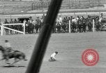 Image of frontier days meet Cheyenne Wyoming USA, 1930, second 25 stock footage video 65675032165