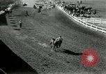 Image of frontier days meet Cheyenne Wyoming USA, 1930, second 37 stock footage video 65675032165