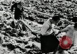 Standbild PADDY-REIS China, 1954, aus Sekunde 8 historischem Filmmaterial Videoclip 65675032179