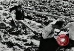 Standbild PADDY-REIS China, 1954, aus Sekunde 9 historischem Filmmaterial Videoclip 65675032179