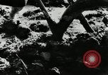 Standbild PADDY-REIS China, 1954, aus Sekunde 12 historischem Filmmaterial Videoclip 65675032179