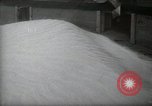 Image of Dust Bowl Dalhart Texas USA, 1937, second 52 stock footage video 65675032194