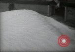 Image of Dust Bowl Dalhart Texas USA, 1937, second 54 stock footage video 65675032194