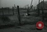 Image of debris in fence during dust bowl Dalhart Texas USA, 1937, second 52 stock footage video 65675032195