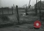 Image of debris in fence during dust bowl Dalhart Texas USA, 1937, second 59 stock footage video 65675032195