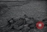 Image of American Army soldiers Korea, 1953, second 35 stock footage video 65675032201
