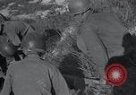 Image of U.S. Army Medical Service in Korea Korea, 1953, second 34 stock footage video 65675032202