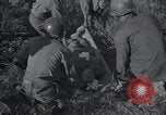 Image of U.S. Army Medical Service in Korea Korea, 1953, second 37 stock footage video 65675032202